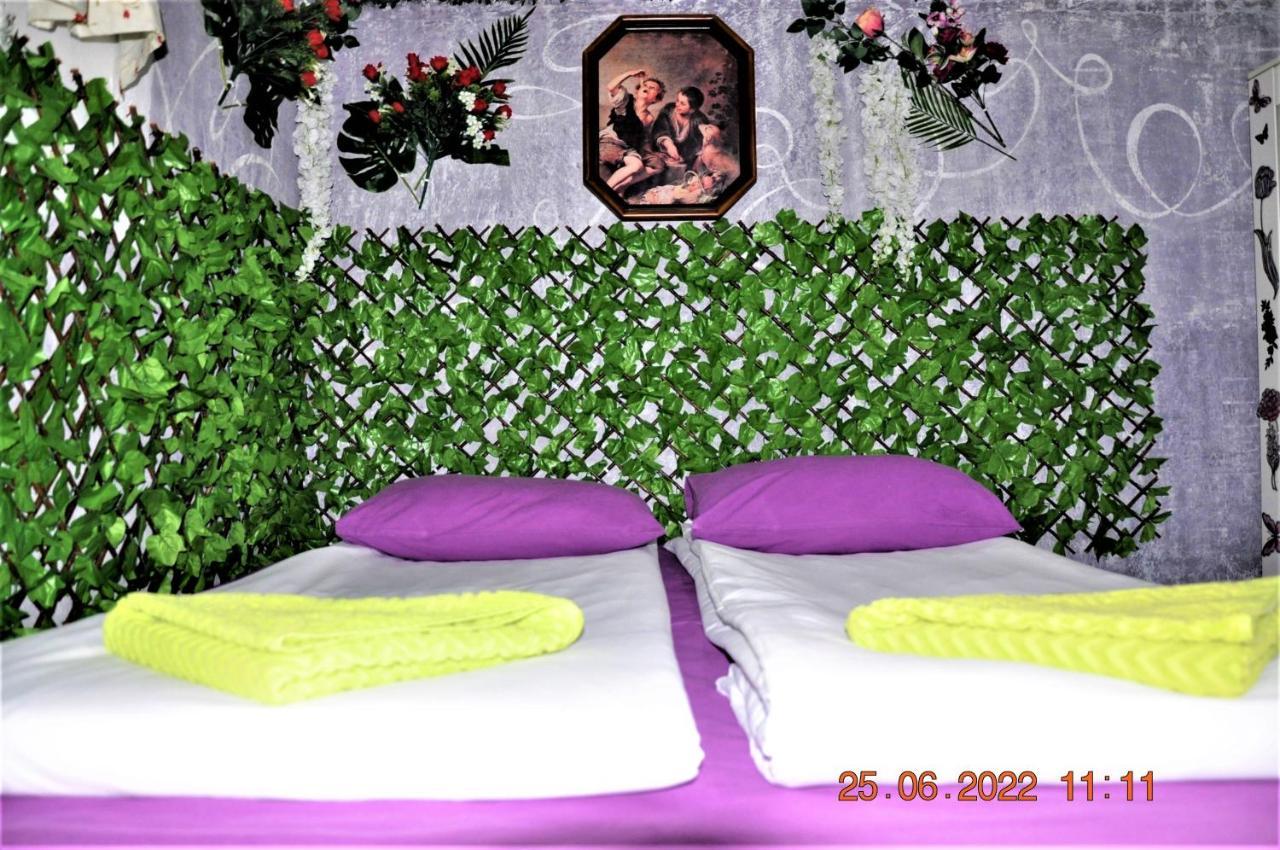 Social Guest House صوفيا المظهر الخارجي الصورة