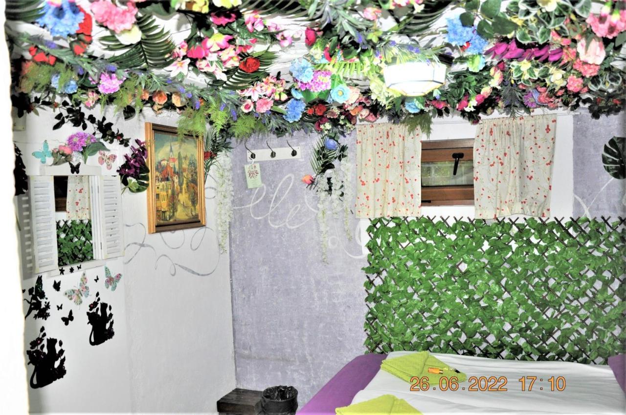 Social Guest House صوفيا المظهر الخارجي الصورة
